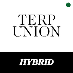 Hybrid